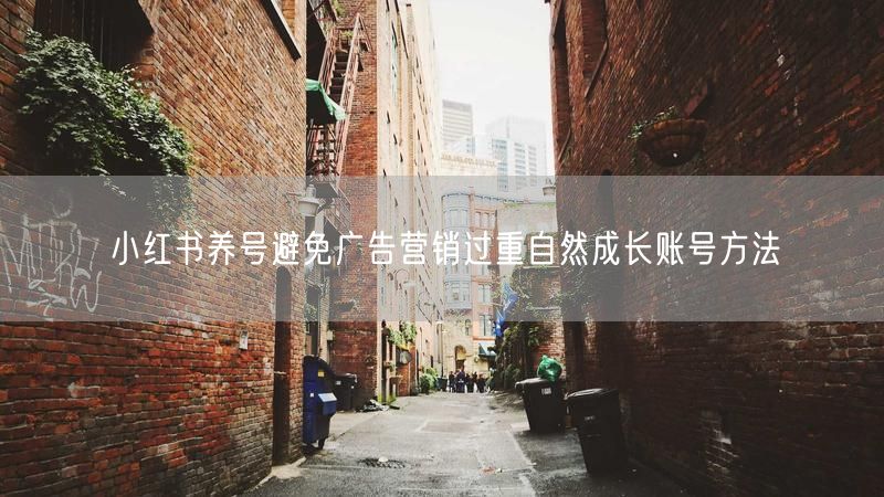 小红书养号避免广告营销过重自然成长账号方法