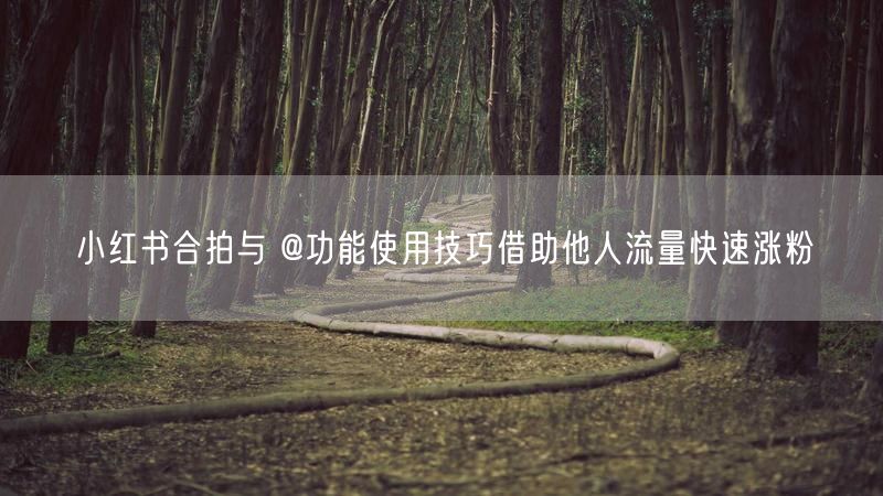 小红书合拍与 @功能使用技巧借助他人流量快速涨粉