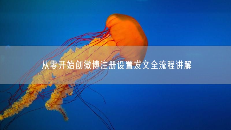 从零开始创微博注册设置发文全流程讲解