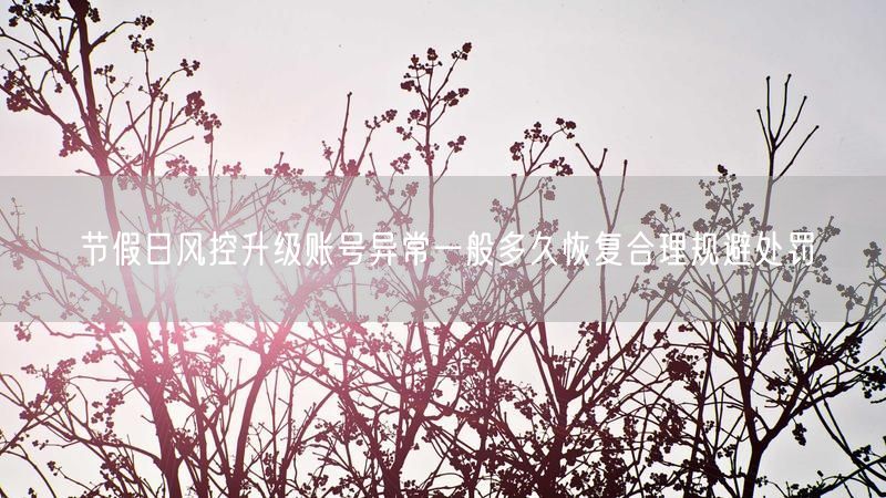 节假日风控升级账号异常一般多久恢复合理规避处罚
