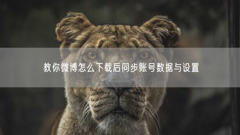 教你微博怎么下载后同步账号数据与设置