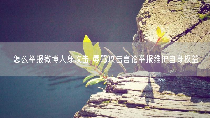 怎么举报微博人身攻击 辱骂攻击言论举报维护自身权益