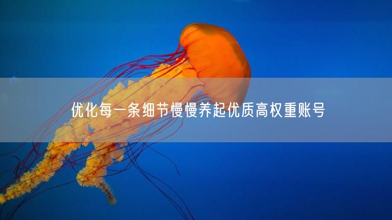 优化每一条细节慢慢养起优质高权重账号