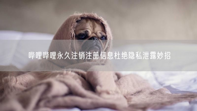 哔哩哔哩永久注销注册信息杜绝隐私泄露妙招
