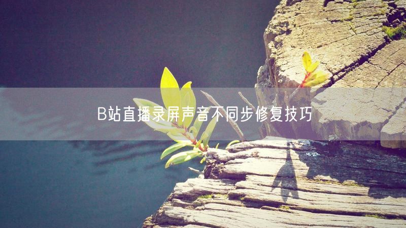 B站直播录屏声音不同步修复技巧