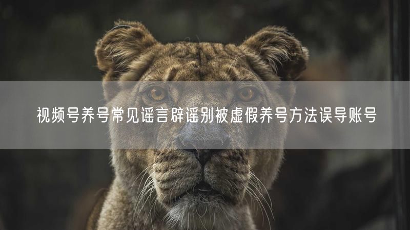 视频号养号常见谣言辟谣别被虚假养号方法误导账号