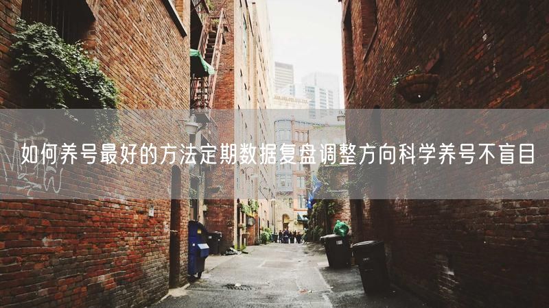 如何养号最好的方法定期数据复盘调整方向科学养号不盲目