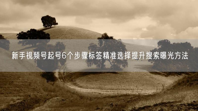 新手视频号起号6个步骤标签精准选择提升搜索曝光方法