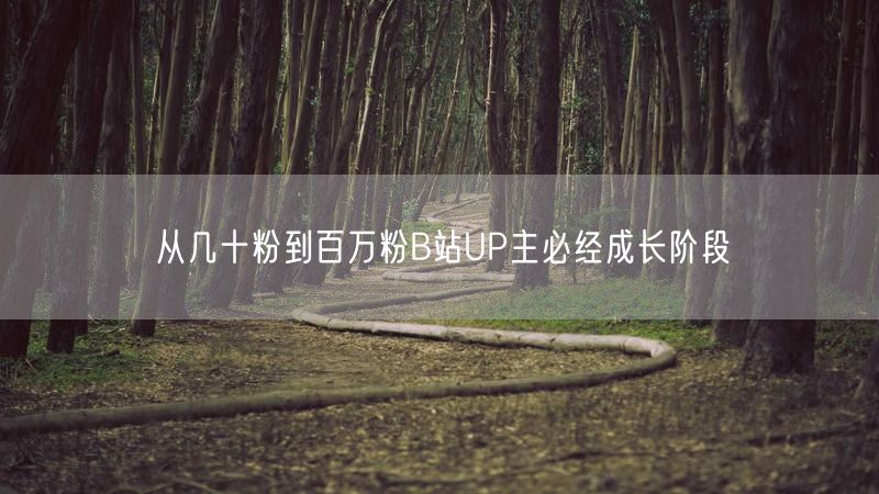 从几十粉到百万粉B站UP主必经成长阶段