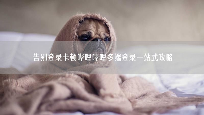 告别登录卡顿哔哩哔哩多端登录一站式攻略