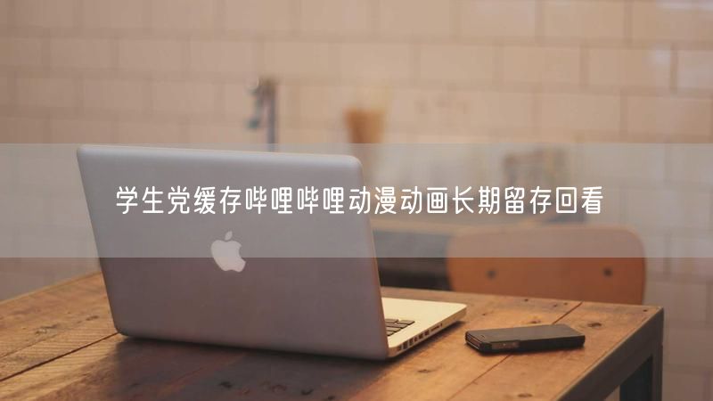 学生党缓存哔哩哔哩动漫动画长期留存回看