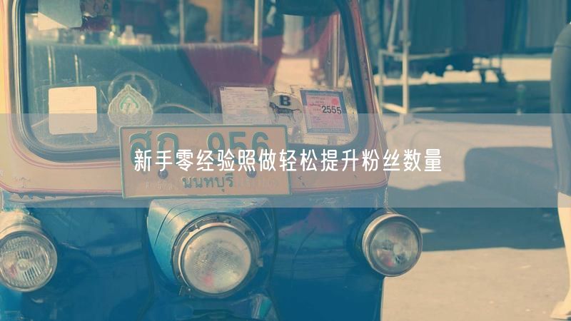 新手零经验照做轻松提升粉丝数量