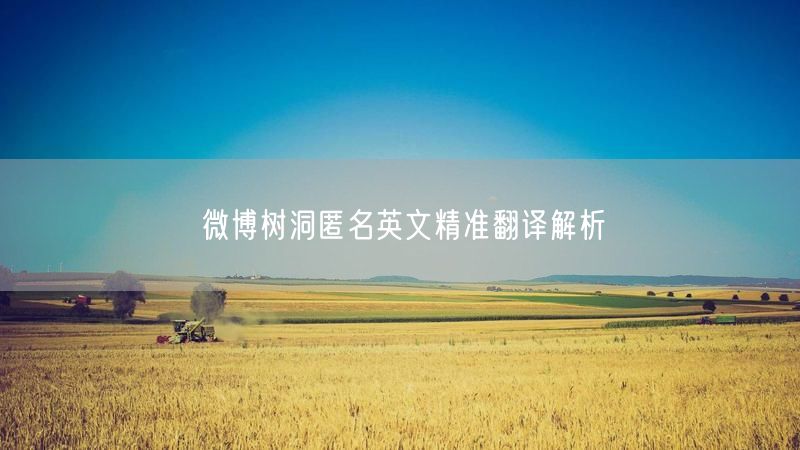 微博树洞匿名英文精准翻译解析