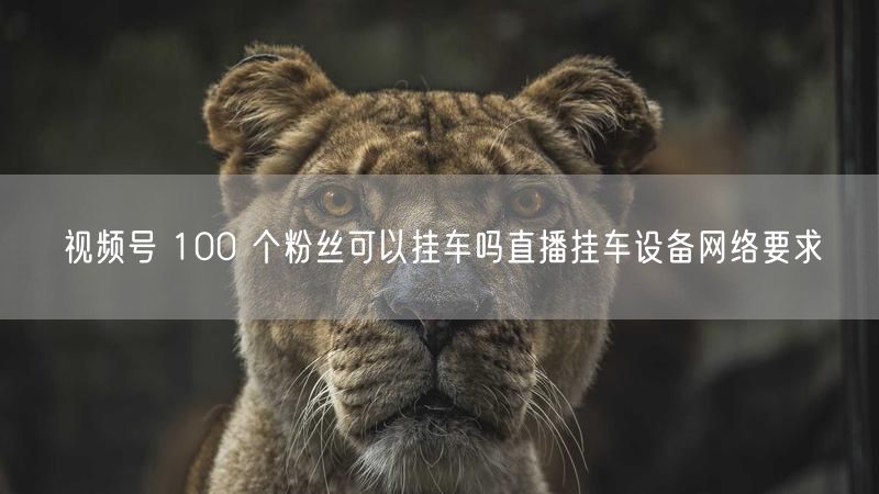 视频号 100 个粉丝可以挂车吗直播挂车设备网络要求