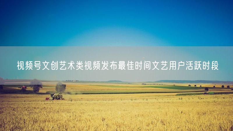 视频号文创艺术类视频发布最佳时间文艺用户活跃时段