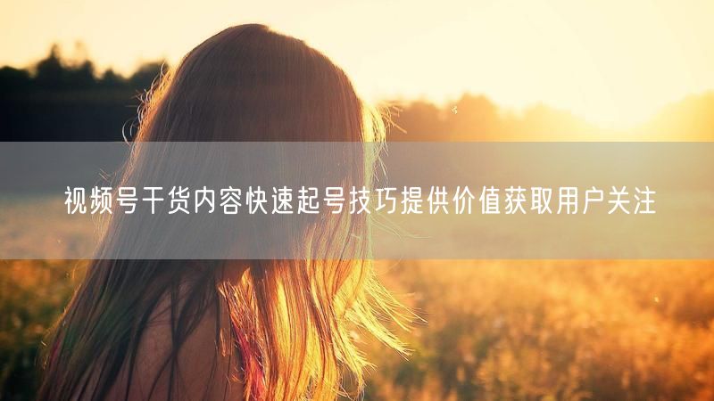 视频号干货内容快速起号技巧提供价值获取用户关注