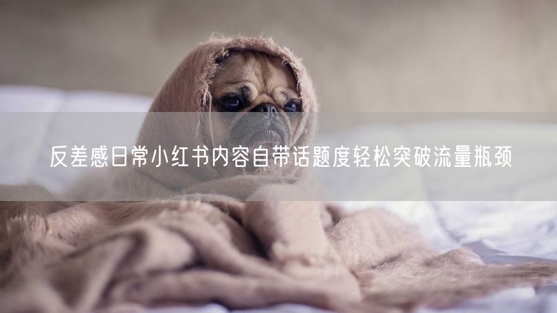 反差感日常小红书内容自带话题度轻松突破流量瓶颈