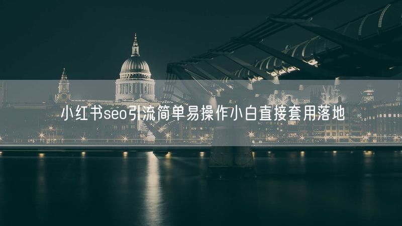 小红书seo引流简单易操作小白直接套用落地