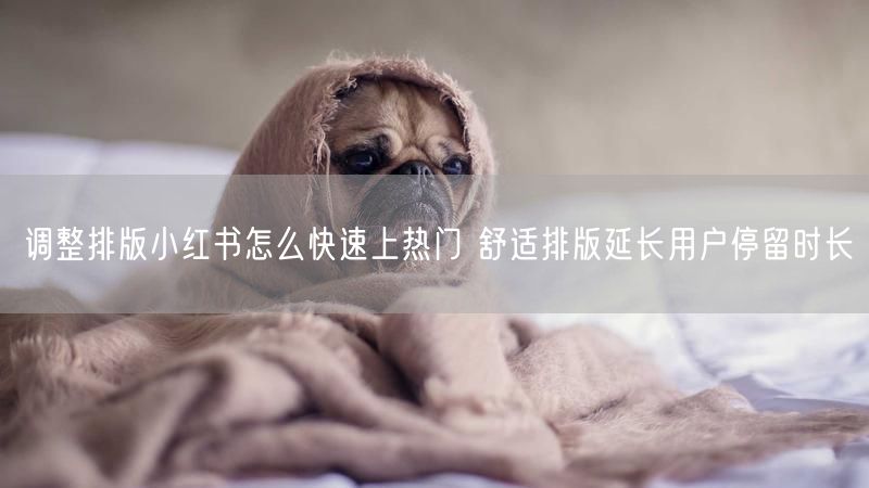 调整排版小红书怎么快速上热门 舒适排版延长用户停留时长
