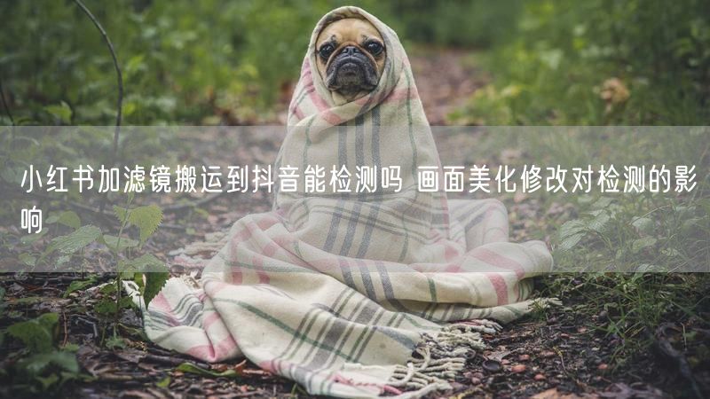小红书加滤镜搬运到抖音能检测吗 画面美化修改对检测的影响