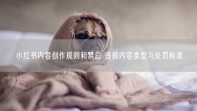 小红书内容创作规则和禁忌 违规内容类型与处罚标准