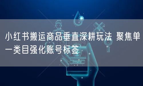 小红书搬运商品垂直深耕玩法 聚焦单一类目强化账号标签