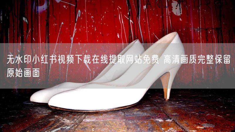 无水印小红书视频下载在线提取网站免费 高清画质完整保留原始画面