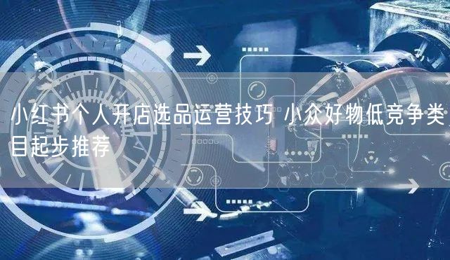 小红书个人开店选品运营技巧 小众好物低竞争类目起步推荐