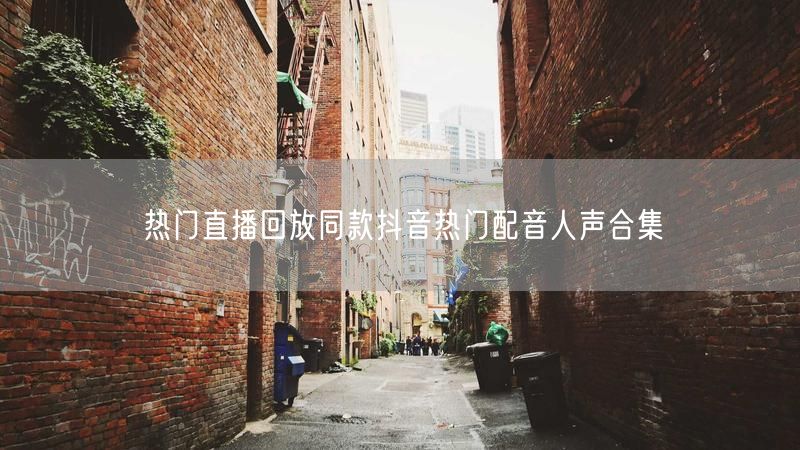 热门直播回放同款抖音热门配音人声合集