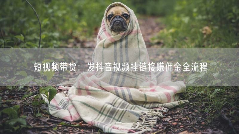 短视频带货：发抖音视频挂链接赚佣金全流程