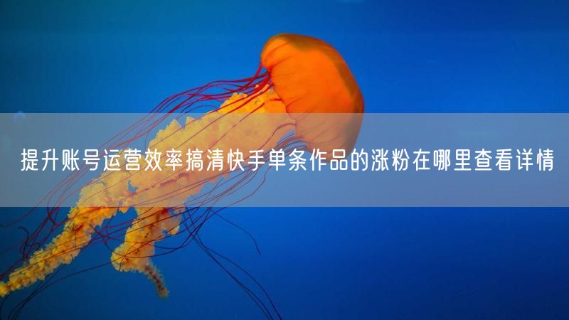 提升账号运营效率搞清快手单条作品的涨粉在哪里查看详情