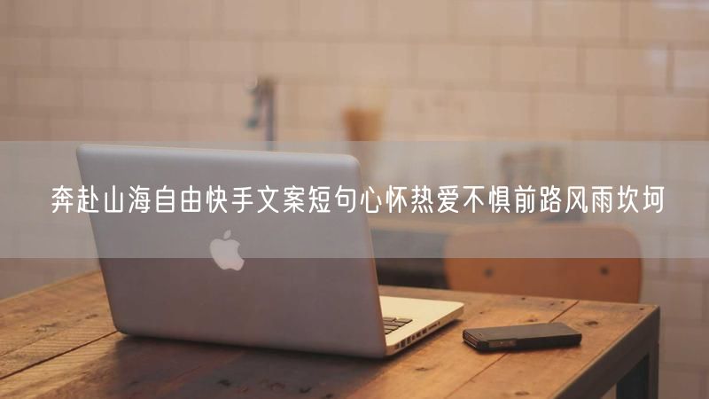 奔赴山海自由快手文案短句心怀热爱不惧前路风雨坎坷