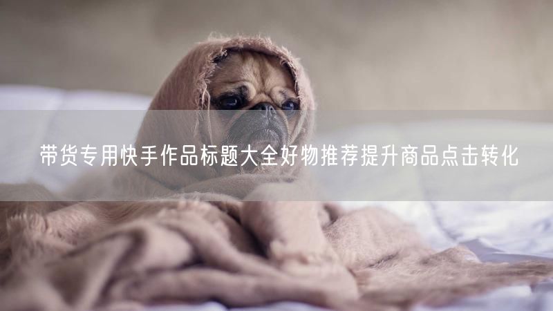 带货专用快手作品标题大全好物推荐提升商品点击转化