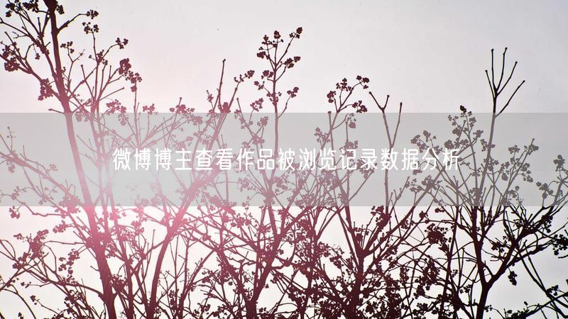 微博博主查看作品被浏览记录数据分析