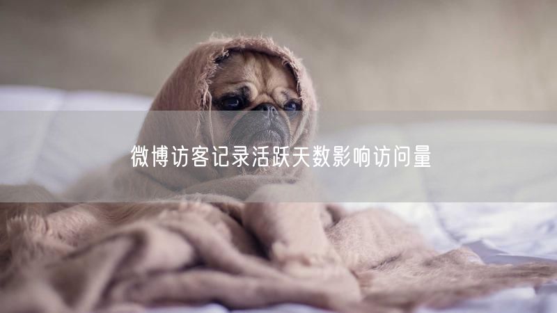 微博访客记录活跃天数影响访问量