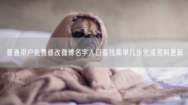 普通用户免费修改微博名字入口查找简单几步完成资料更新