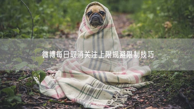 微博每日取消关注上限规避限制技巧