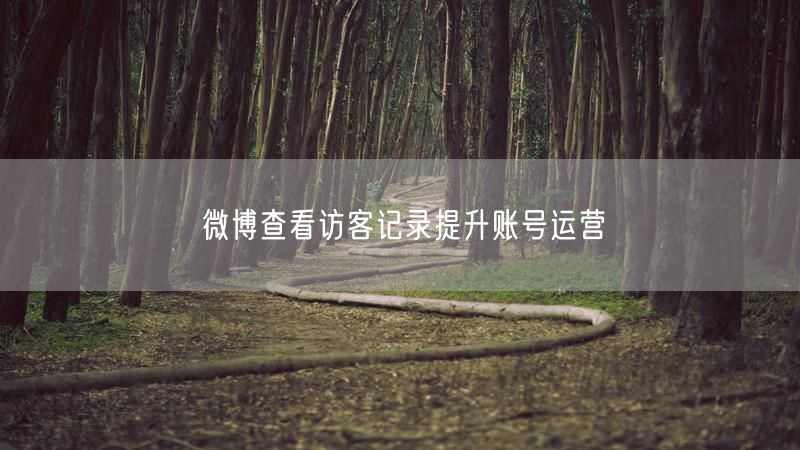 微博查看访客记录提升账号运营