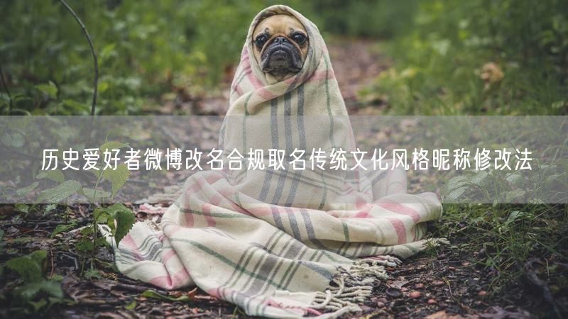 历史爱好者微博改名合规取名传统文化风格昵称修改法