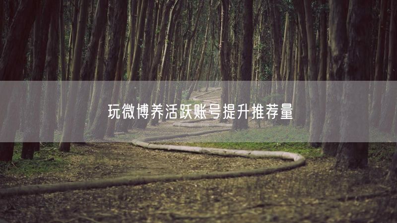 玩微博养活跃账号提升推荐量