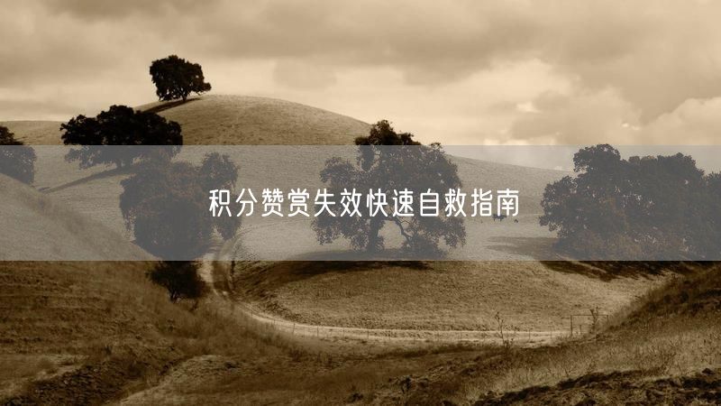 积分赞赏失效快速自救指南