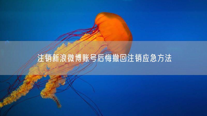 注销新浪微博账号后悔撤回注销应急方法