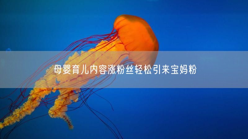 母婴育儿内容涨粉丝轻松引来宝妈粉