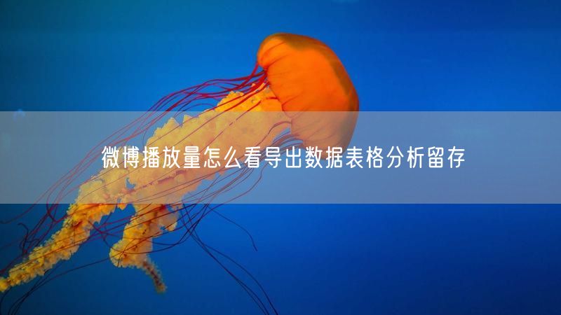 微博播放量怎么看导出数据表格分析留存
