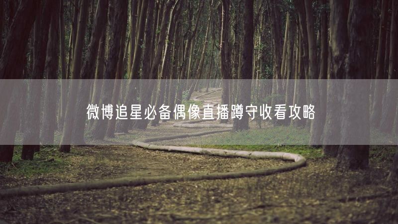 微博追星必备偶像直播蹲守收看攻略