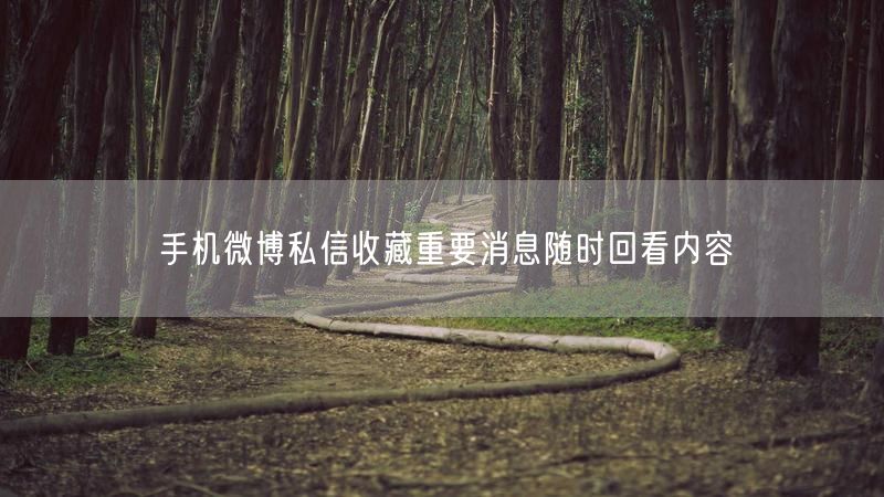 手机微博私信收藏重要消息随时回看内容