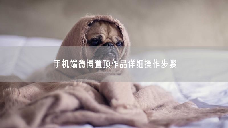 手机端微博置顶作品详细操作步骤