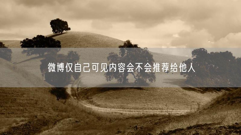 微博仅自己可见内容会不会推荐给他人