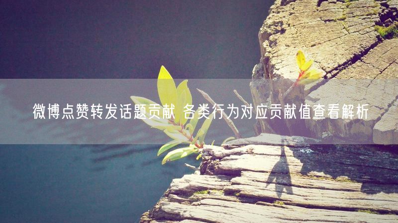 微博点赞转发话题贡献 各类行为对应贡献值查看解析