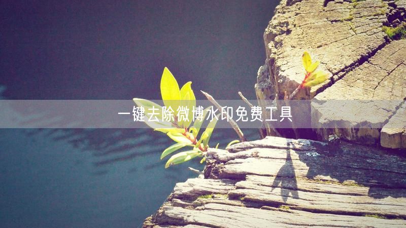一键去除微博水印免费工具